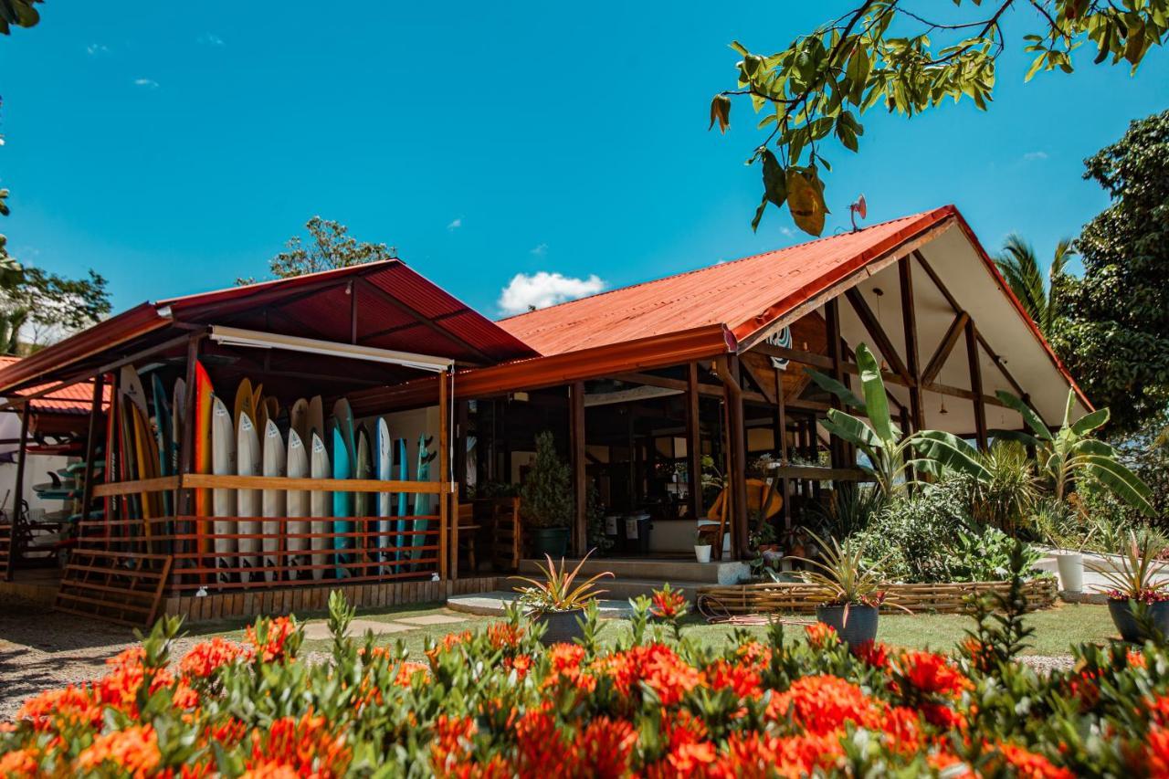 Surf Synergy All-Inclusive Surf Retreat 哈科 外观 照片